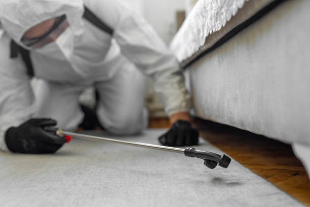 Professional Mosquito Control technician working in Branford Center, CT