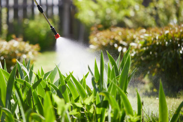 24/7 Emergency Mosquito Control experts in Branford Center, CT