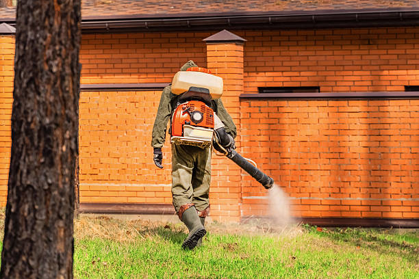 Trusted Fumigation Services service in Branford Center, CT - Nex Pest Control